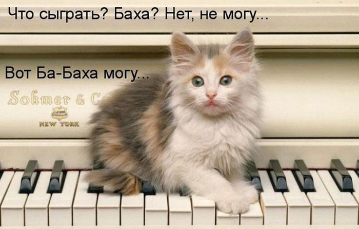 VFL.RU -  