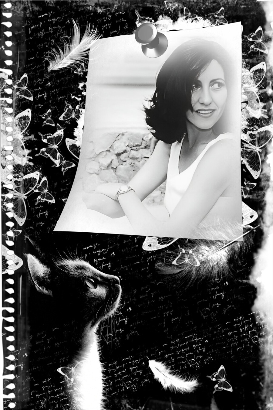 pic cassia art 104