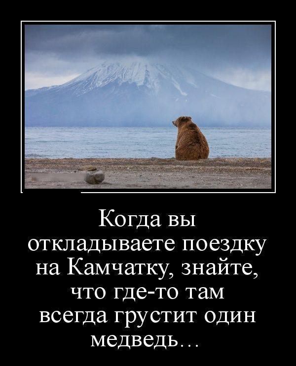VFL.RU -  