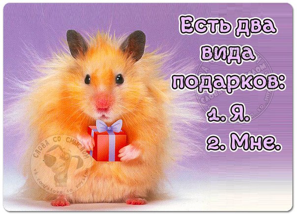 VFL.RU -  