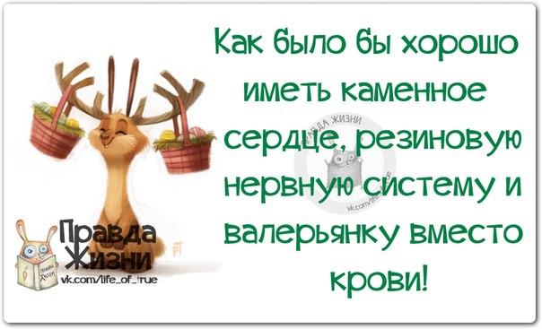 VFL.RU -  