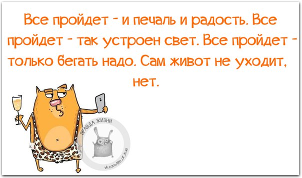 VFL.RU -  