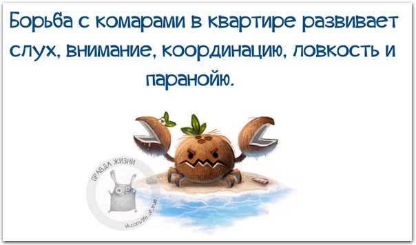VFL.RU -  
