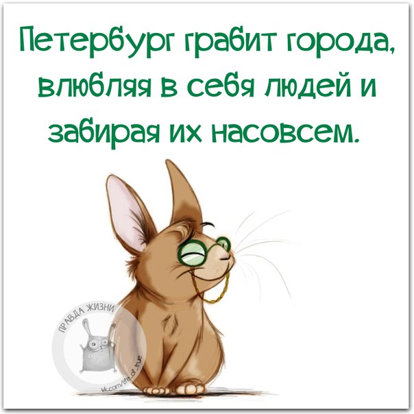 VFL.RU -  