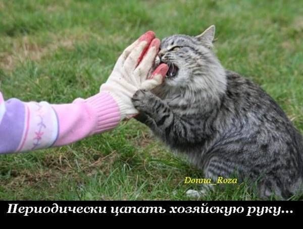 VFL.RU -  