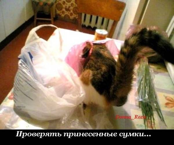 VFL.RU -  