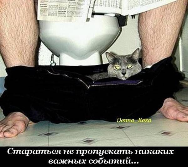 VFL.RU -  