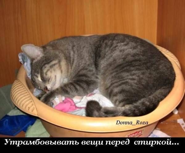 VFL.RU -  