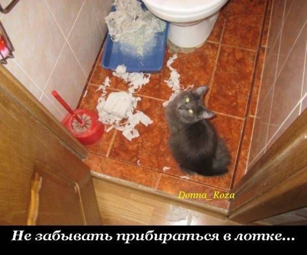 VFL.RU -  
