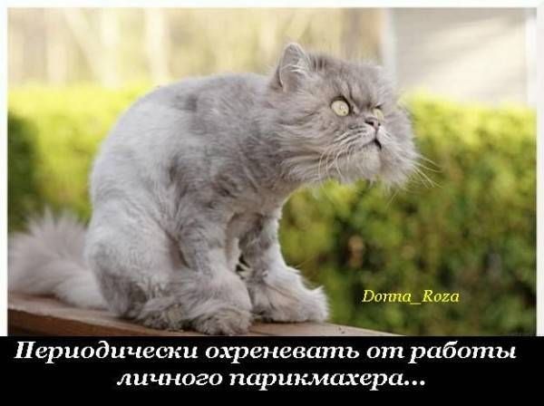 VFL.RU -  