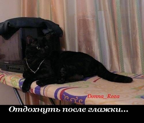 VFL.RU -  