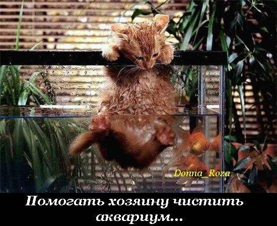 VFL.RU -  