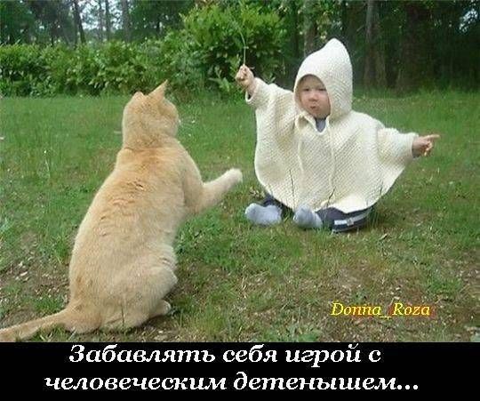 VFL.RU -  