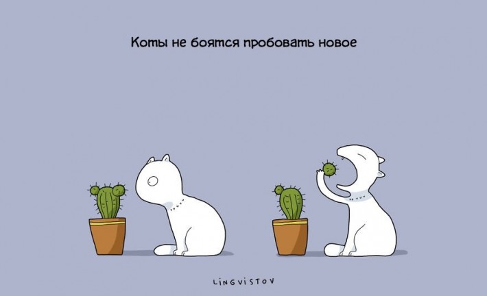 VFL.RU -  