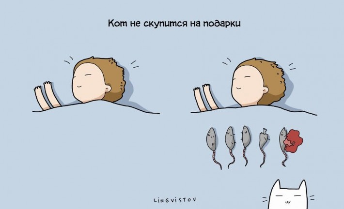 VFL.RU -  