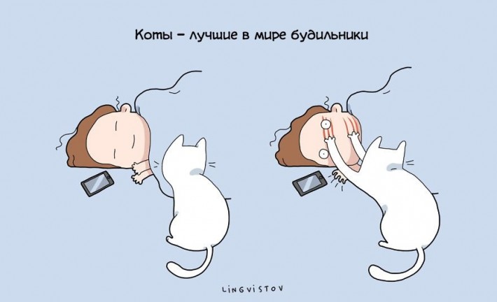 VFL.RU -  