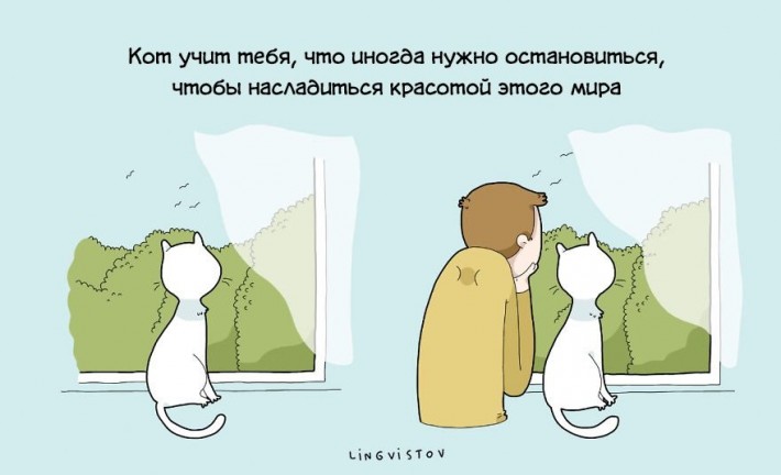 VFL.RU -  