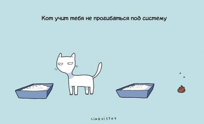 VFL.RU -  