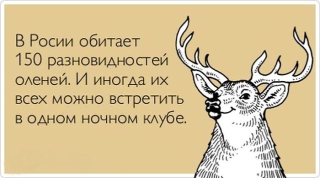 VFL.RU -  