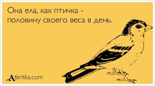 VFL.RU -  