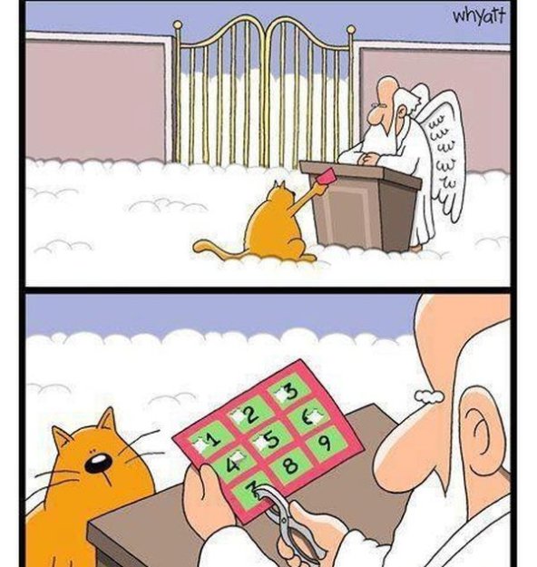 VFL.RU -  