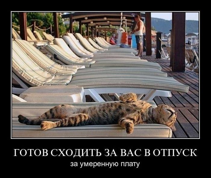 VFL.RU -  