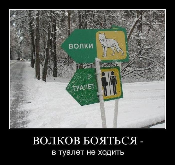 VFL.RU -  