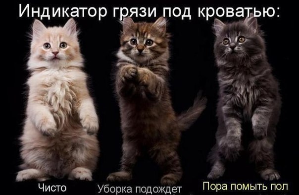 VFL.RU -  