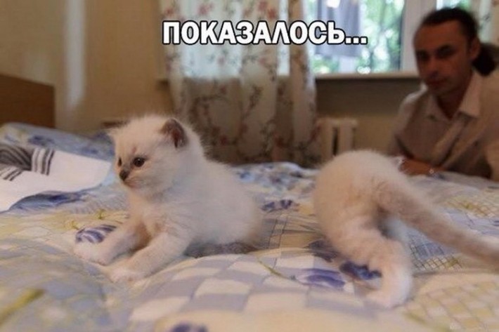 VFL.RU -  