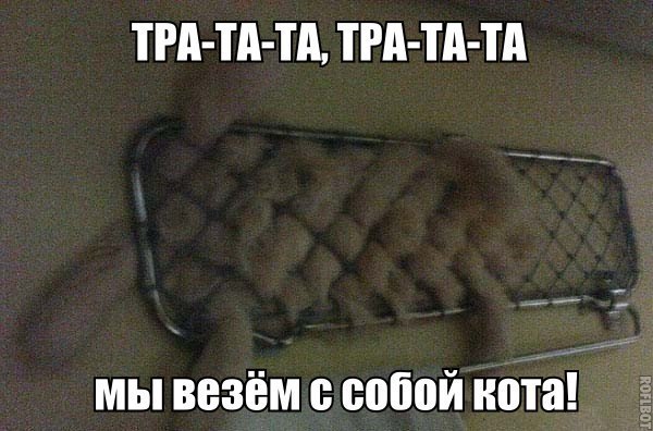 VFL.RU -  