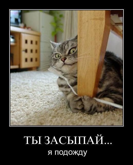 VFL.RU -  