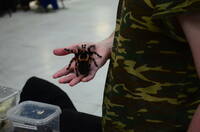 VFL.RU - ваш фотохостинг