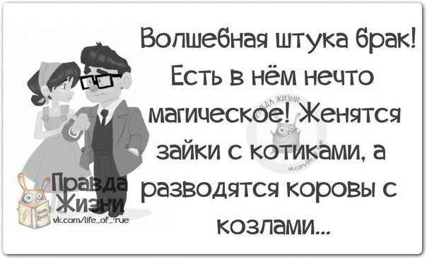 VFL.RU -  