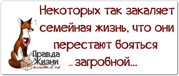 VFL.RU -  