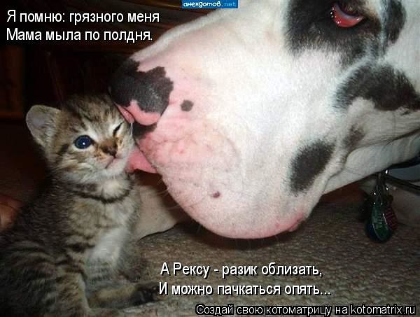 VFL.RU -  