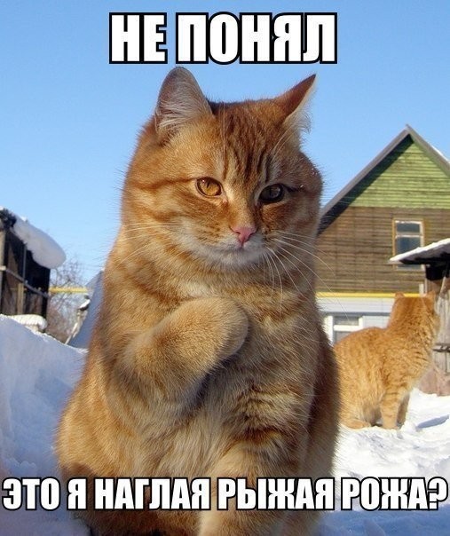 VFL.RU -  