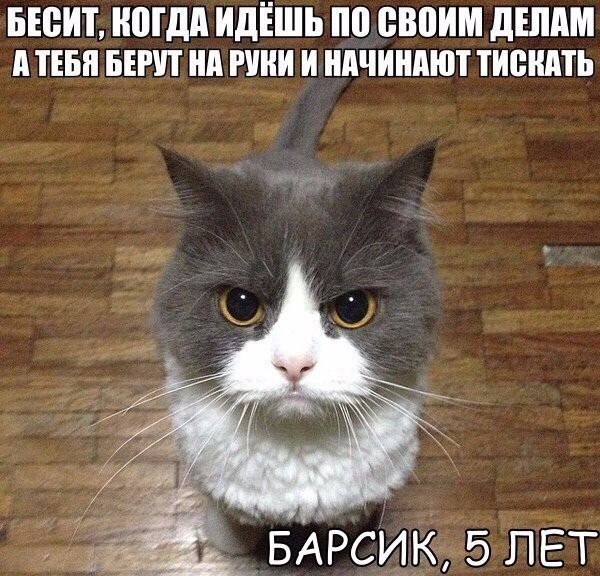 VFL.RU -  
