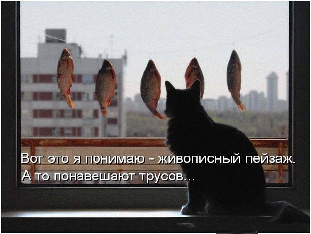 VFL.RU -  