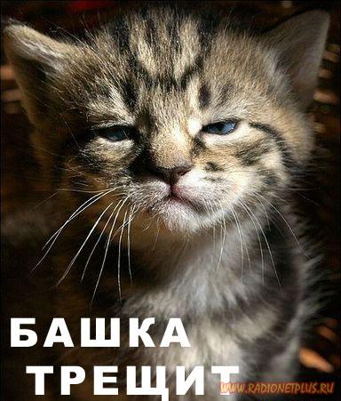 VFL.RU -  
