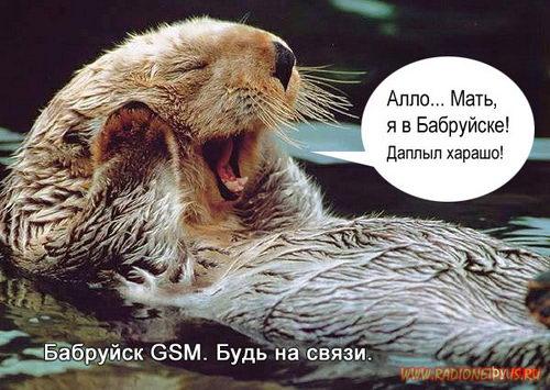 VFL.RU -  