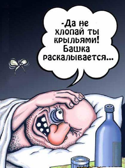 VFL.RU -  