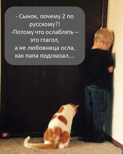 VFL.RU -  