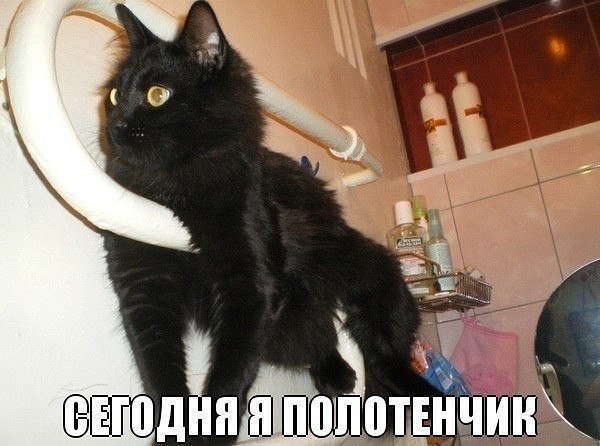 VFL.RU -  