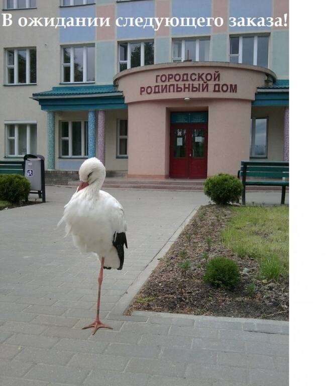 VFL.RU -  