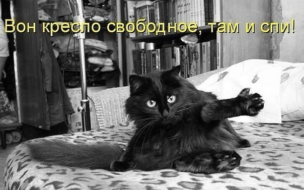 VFL.RU -  