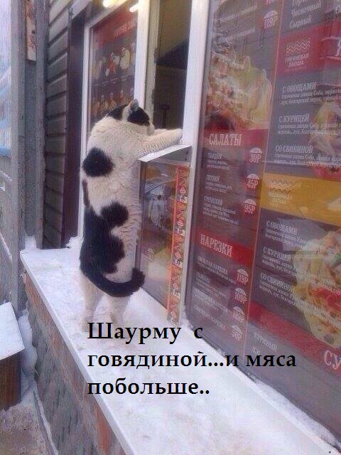 VFL.RU -  