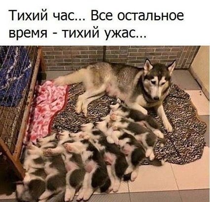 VFL.RU -  