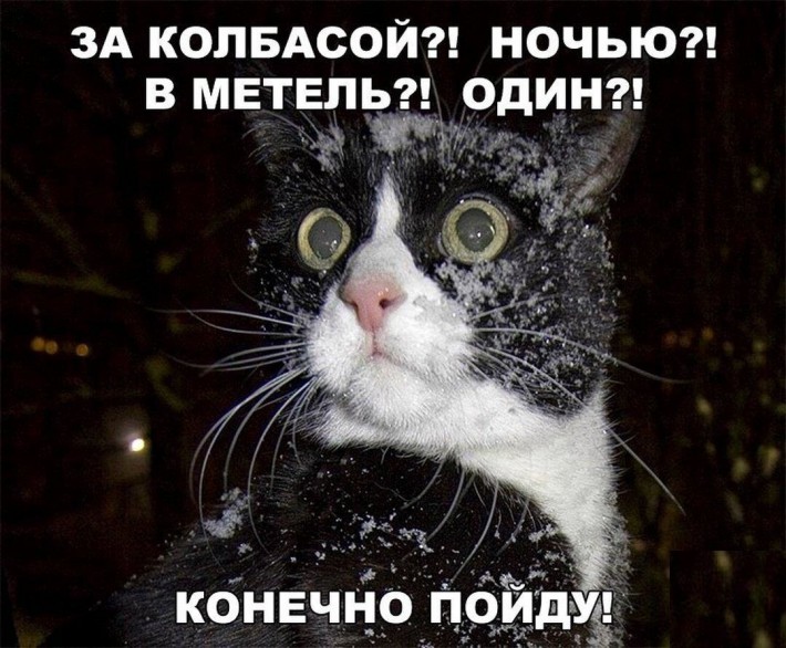 VFL.RU -  