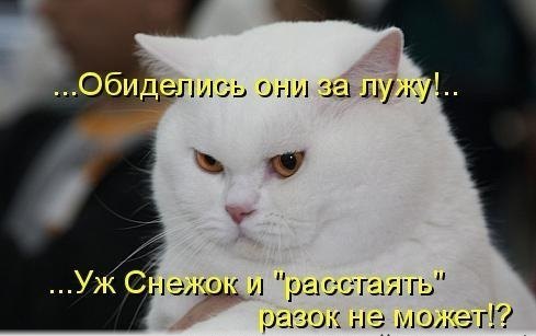 VFL.RU -  