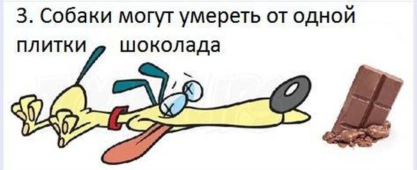 VFL.RU -  